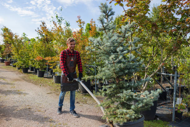 Best Mulching Services  in Bremen, GA